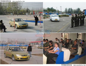 石家莊大眾駕校 專業(yè)的機動車駕駛員培訓伙伴