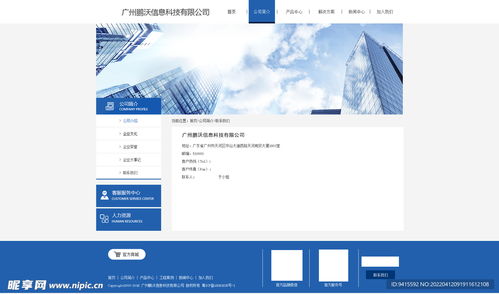 數(shù)字時(shí)代的企業(yè)形象與界面設(shè)計(jì) 從官網(wǎng)到電商平臺(tái)的視覺(jué)工程