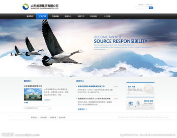 公司網(wǎng)站圖片與計(jì)算機(jī)網(wǎng)絡(luò)工程 構(gòu)建高效視覺(jué)與數(shù)據(jù)交互平臺(tái)